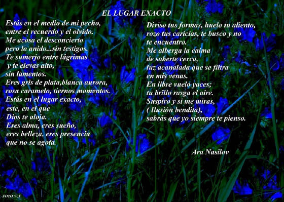 aracelypoema.jpg