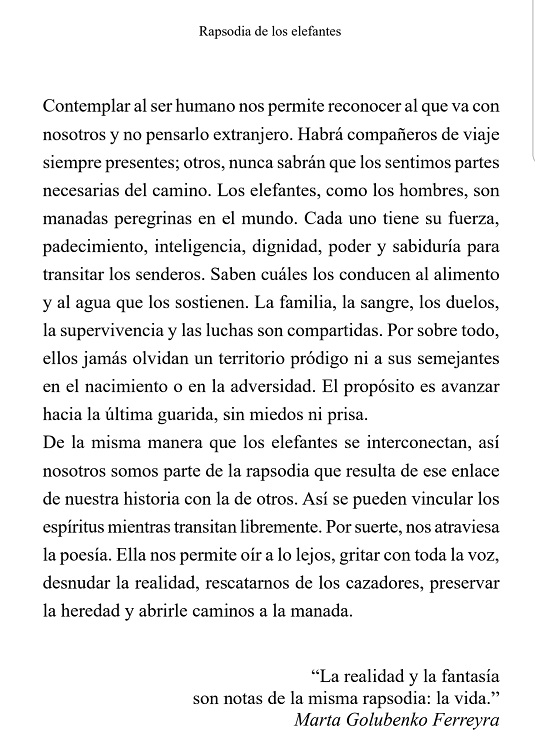 UNILETRAS/MARTHAELE.jpg